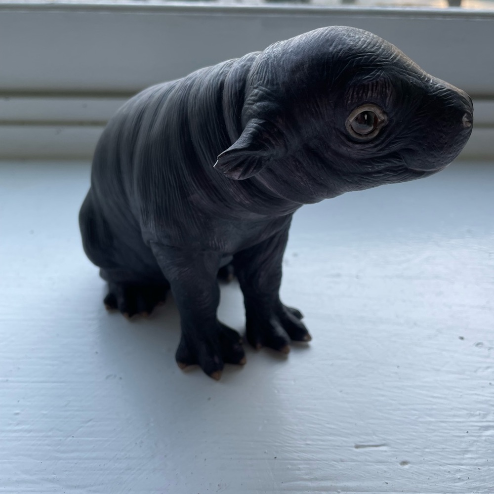 Lenox Pygmy Hippo